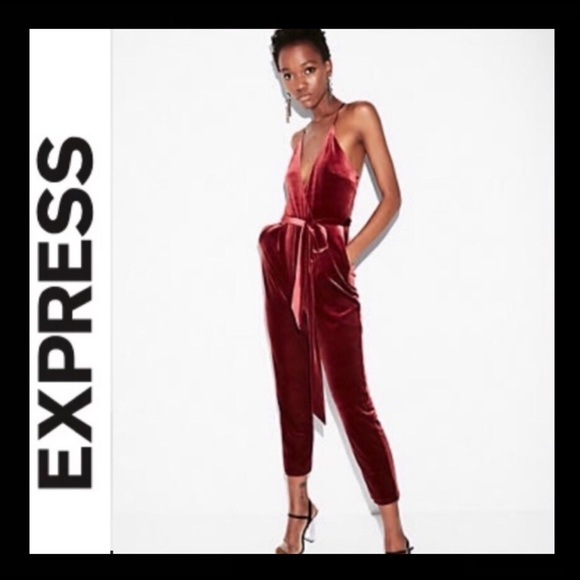 NWT Express Belted Velvet Jumpsuit - Picture 7 of 7